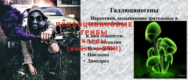 эйфоретик Володарск