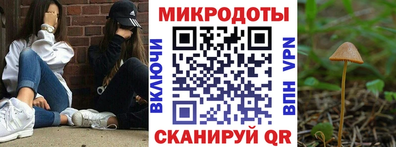 Псилоцибиновые грибы MAGIC MUSHROOMS Истра